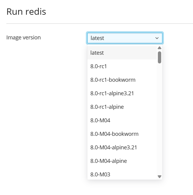 Docker Catalog Version Selection